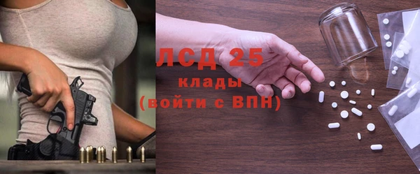 МДПВ Бородино