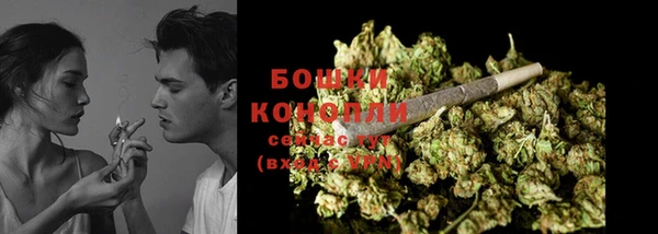 МДПВ Бородино