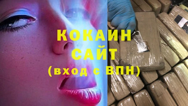 МДПВ Бородино