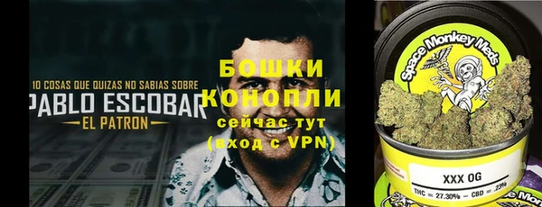 МДПВ Бородино