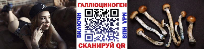 Псилоцибиновые грибы Cubensis  закладки  Карабулак 